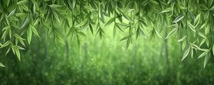 Превью обои лианы, зелень, джунгли, зеленый