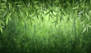 Превью обои лианы, зелень, джунгли, зеленый