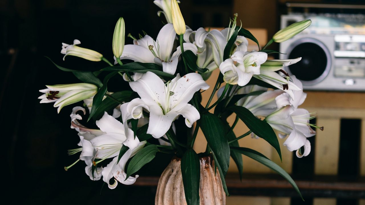 Обои лилии, букет, цветы, ваза, эстетика