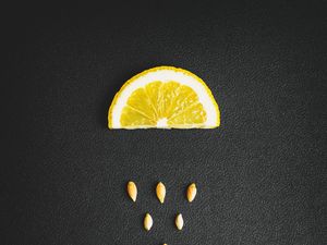 Превью обои лимон, косточки, текстура