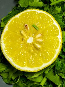 Превью обои лимон, петрушка, зелень, фрукт