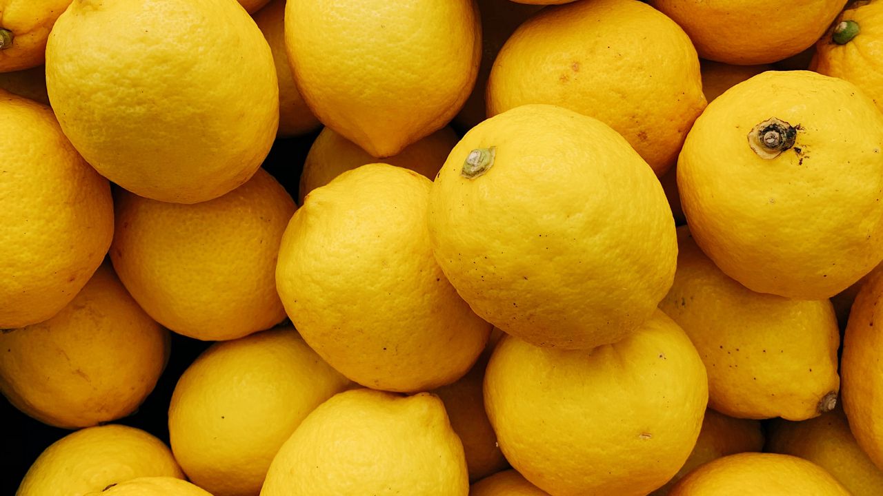 Обои лимон, цитрус, фрукты, желтый