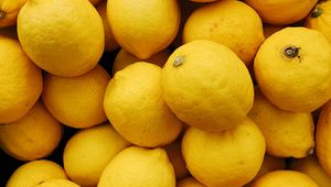 Превью обои лимон, цитрус, фрукты, желтый