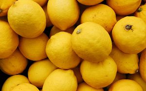 Превью обои лимон, цитрус, фрукты, желтый