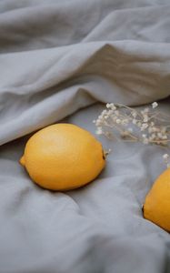 Превью обои лимон, цитрус, цветы, ткань