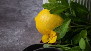 Превью обои лимон, цветок, фрукт, цитрус, желтый