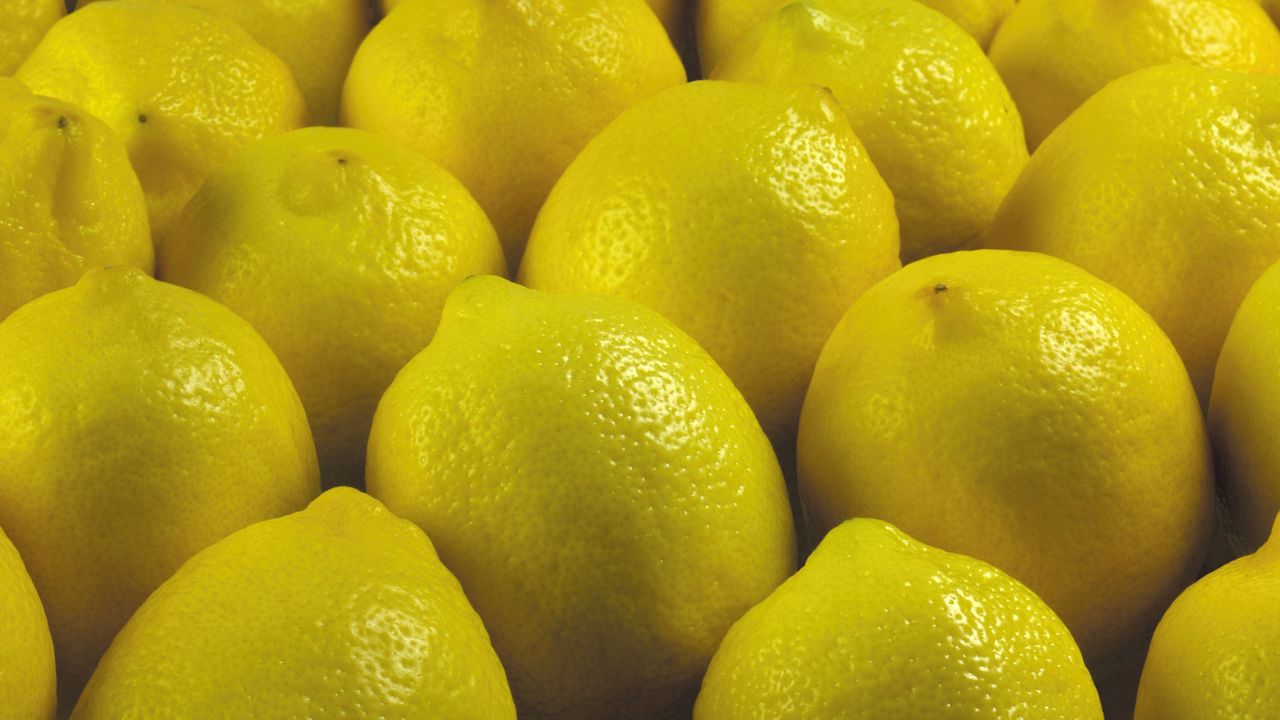 Обои лимон, желтый, фрукт
