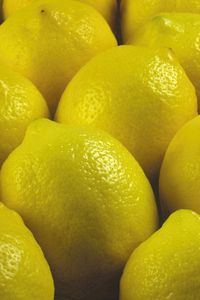 Превью обои лимон, желтый, фрукт