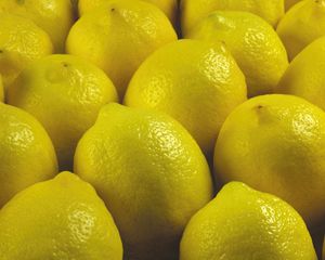 Превью обои лимон, желтый, фрукт