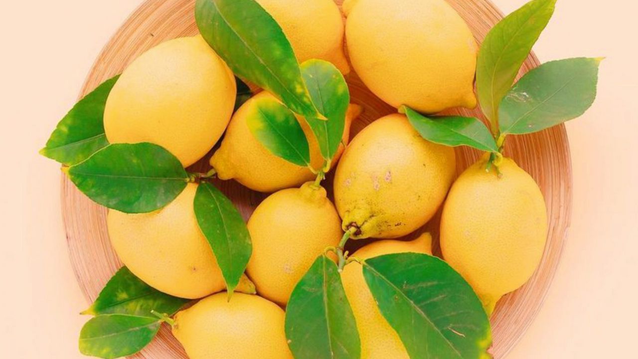 Обои лимоны, листья, тарелка, фрукты