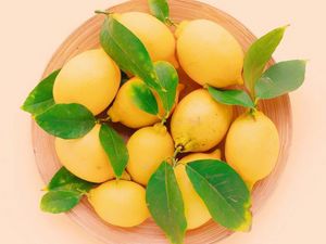Превью обои лимоны, листья, тарелка, фрукты