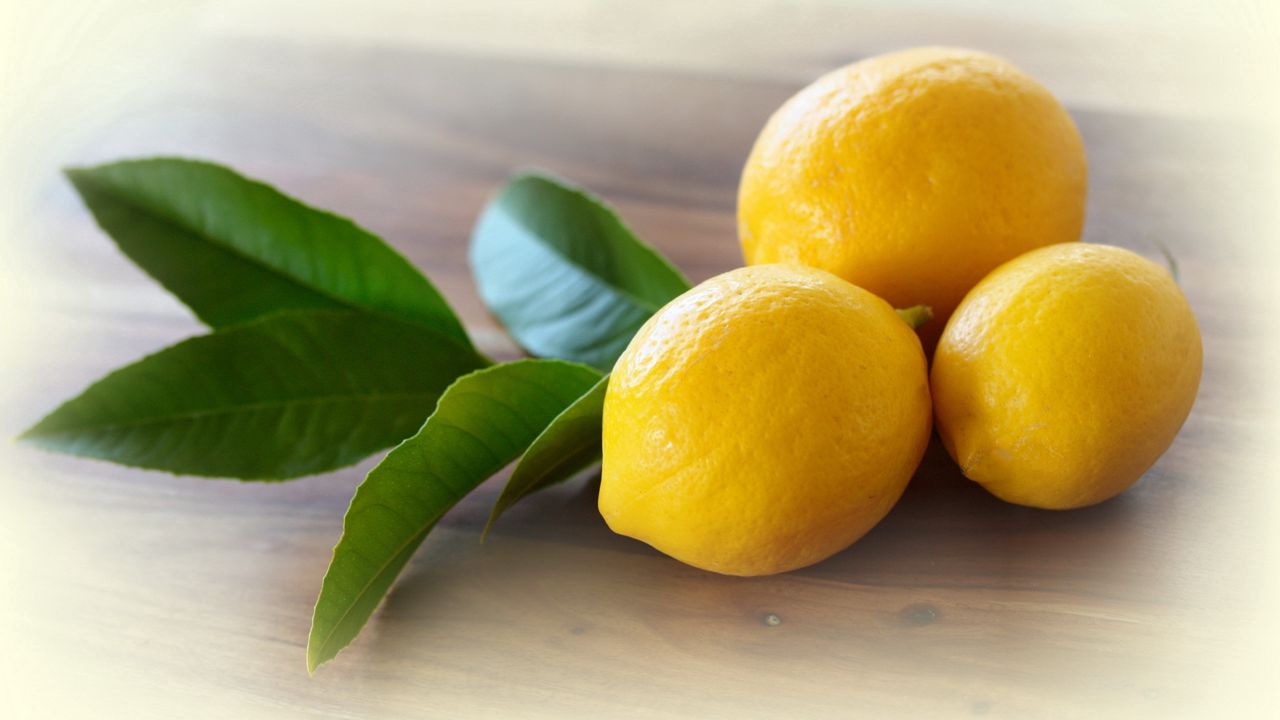 Обои лимоны, листья, желтые, цитрусовые