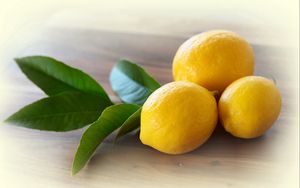 Превью обои лимоны, листья, желтые, цитрусовые