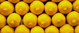 Превью обои лимоны, цитрус, плод