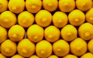 Превью обои лимоны, цитрус, плод
