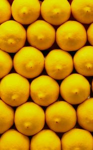 Превью обои лимоны, цитрусы, желтый