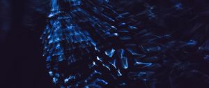 Превью обои линии, пятна, синий, темный, дым