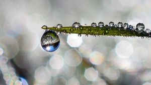 Превью обои лист, капля, вода, дождь, боке, макро