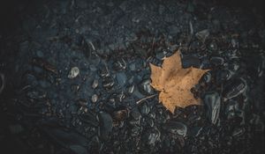 Превью обои лист, клен, камни, осень, вода, опавший