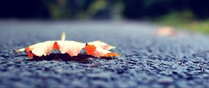 Превью обои лист, осень, опавший, поверхность, дорога