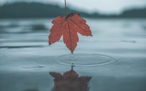 Превью обои лист, осень, вода, отражение, круги