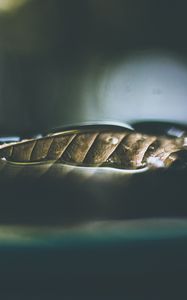 Превью обои лист, сухой, крупным планом