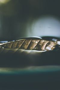 Превью обои лист, сухой, крупным планом
