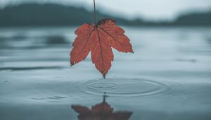 Превью обои лист, вода, осень, отражение