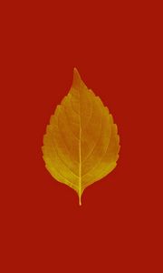Превью обои лист, жилки, макро, растение, красный, осень