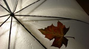 Превью обои лист, зонт, желтый, клен, осень, капли