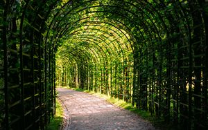 Превью обои листья, арка, сад, растения, природа