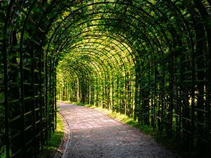 Превью обои листья, арка, сад, растения, природа