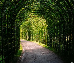 Превью обои листья, арка, сад, растения, природа