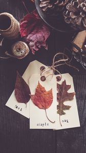 Превью обои листья, гербарий, осень