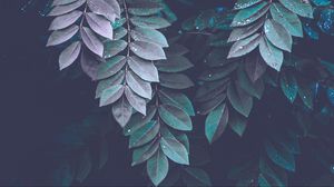 Превью обои листья, капли, ветки, темный
