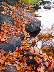 Превью обои листья, осень, камни, река, природа
