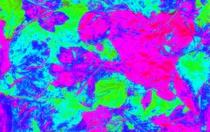 Превью обои листья, пятна, разноцветный, яркий, абстракция
