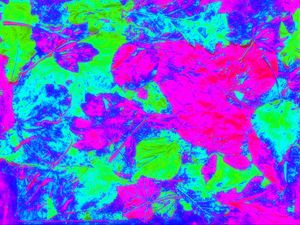 Превью обои листья, пятна, разноцветный, яркий, абстракция