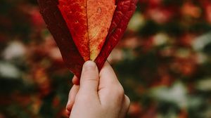 Превью обои листья, рука, красный, сухой, осень