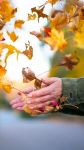 Превью обои листья, руки, осень