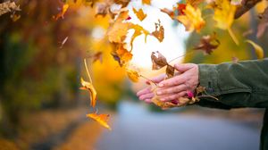 Превью обои листья, руки, осень