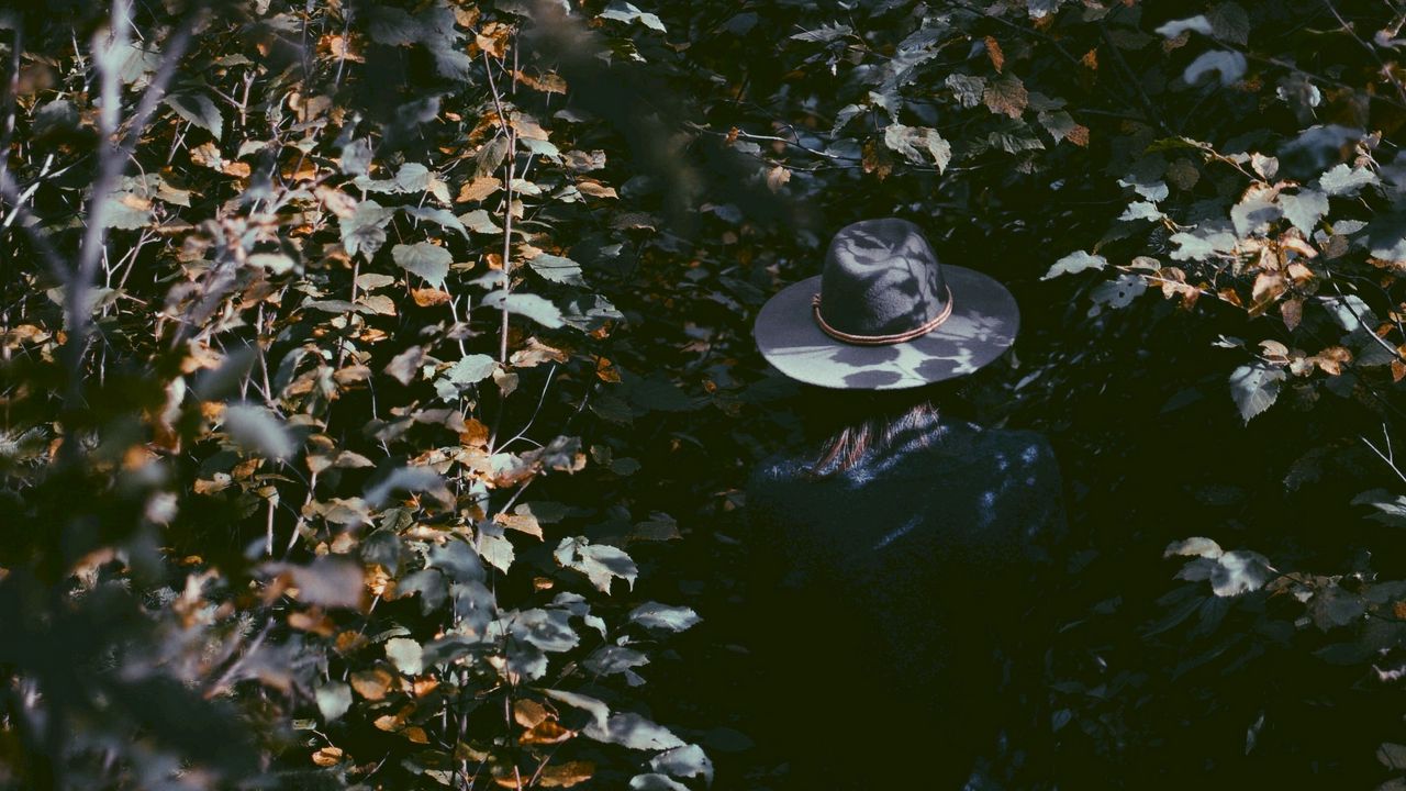 Обои листья, шляпа, человек, тени