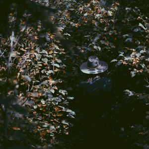 Превью обои листья, шляпа, человек, тени