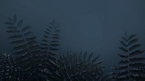 Превью обои листья, ветки, растение, темный