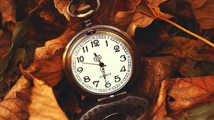 Превью обои листья, время, макро, природа, часы