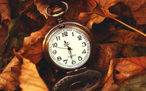 Превью обои листья, время, макро, природа, часы