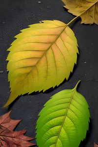 Превью обои листья, зеленый, коричневый, осень, арт