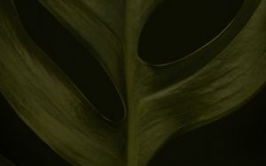 Превью обои листок, макро, зеленый, темный, поверхность