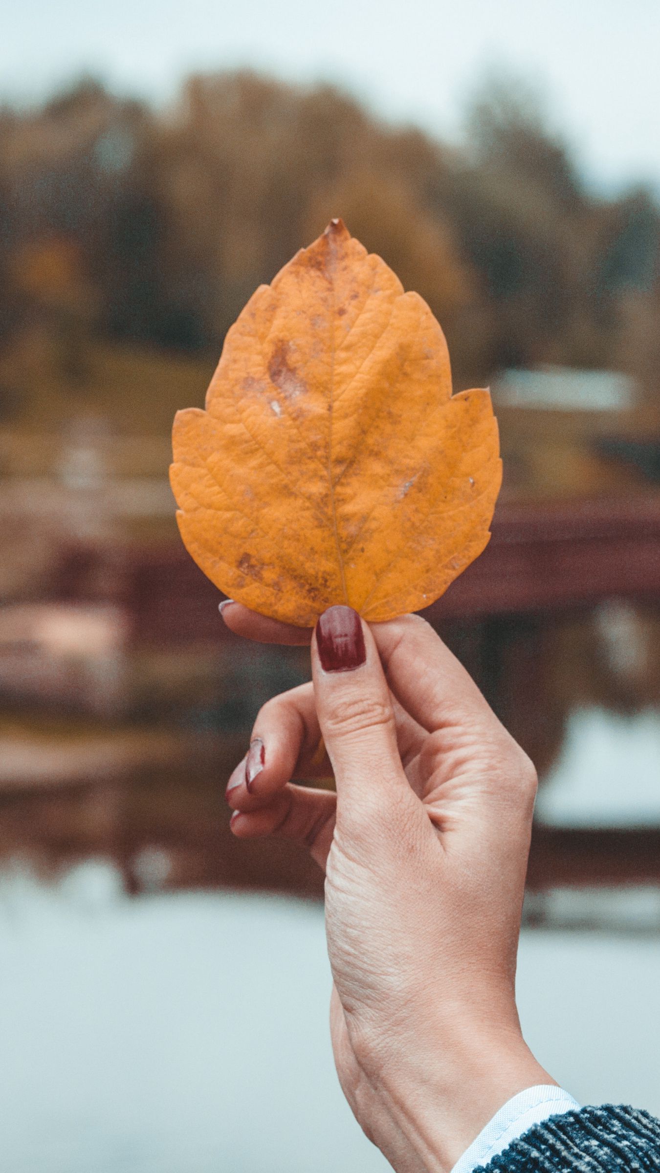 Осенние листочки в руках