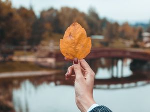 Превью обои листок, рука, пальцы, осень